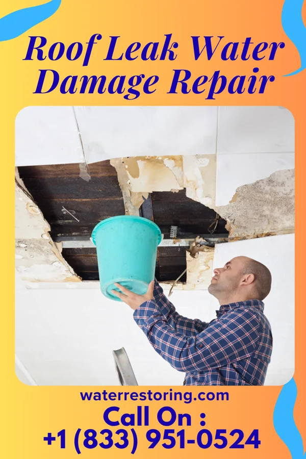 Roof Leak Water Damage Repair in La Villa, TX