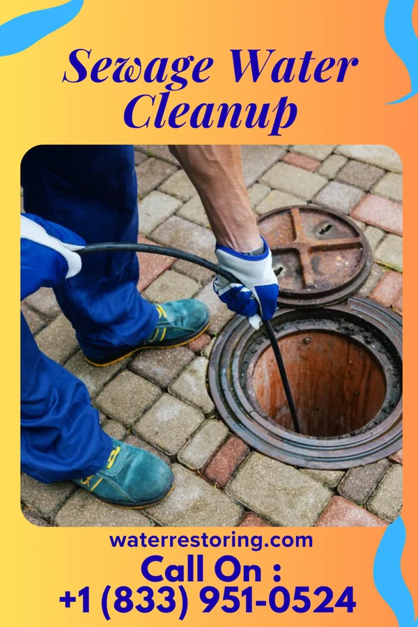 Sewage Water Cleanup in La Villa, TX